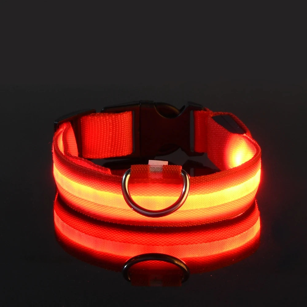 Correa LED Luminosa para Perro con Collar de Seguridad Nocturna