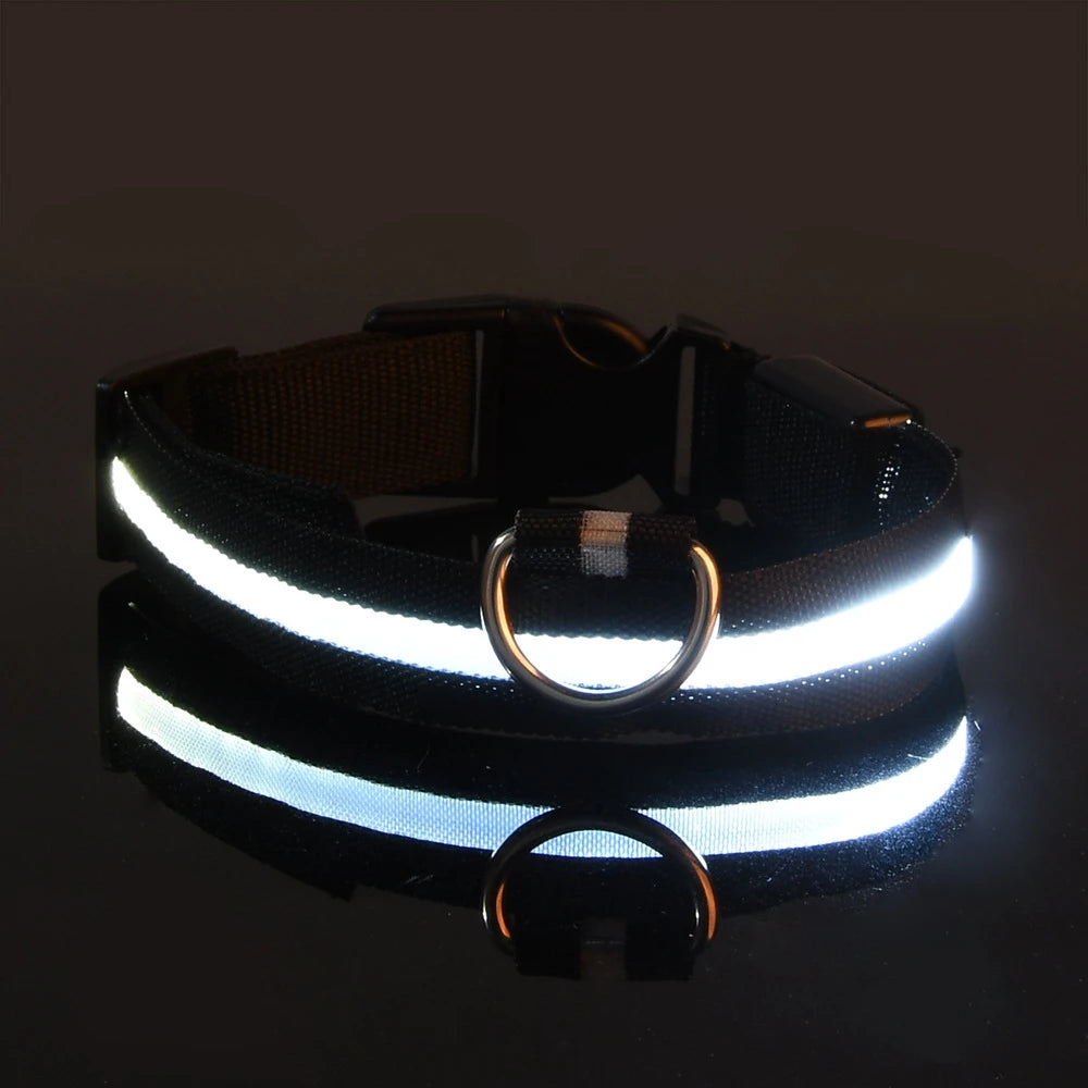 Correa LED Luminosa para Perro con Collar de Seguridad Nocturna