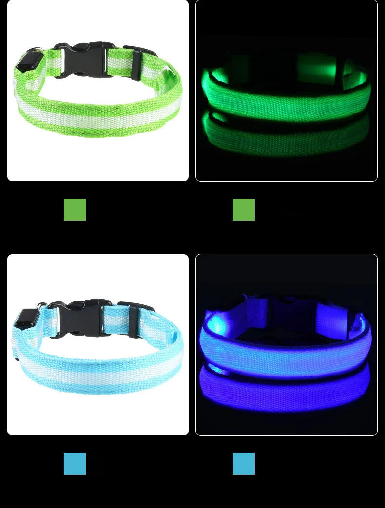 Correa LED Luminosa para Perro con Collar de Seguridad Nocturna