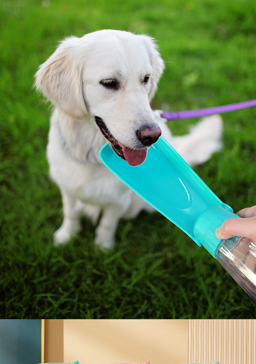 Botella Dispensadora de Agua Portátil para Perros 550ml