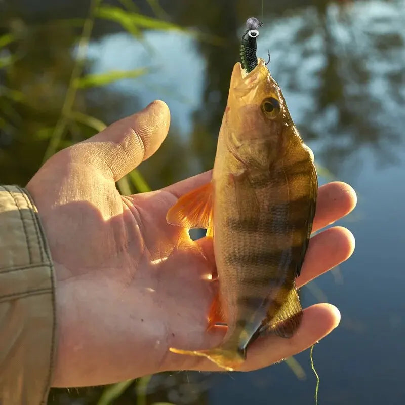 Kit de 40 señuelos blandos de pesca 5cm 3.5g con cabeza jig y caja organizadora