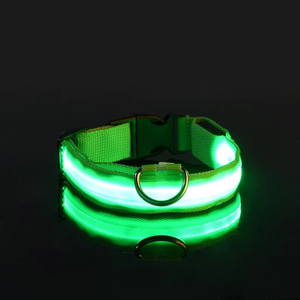 Correa LED Luminosa para Perro con Collar de Seguridad Nocturna