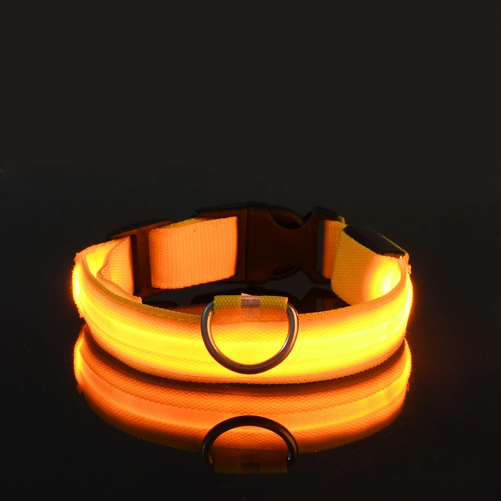 Correa LED Luminosa para Perro con Collar de Seguridad Nocturna