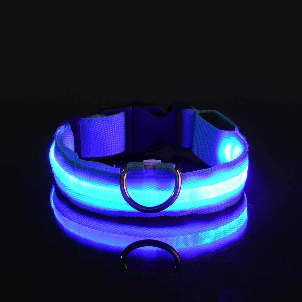 Correa LED Luminosa para Perro con Collar de Seguridad Nocturna