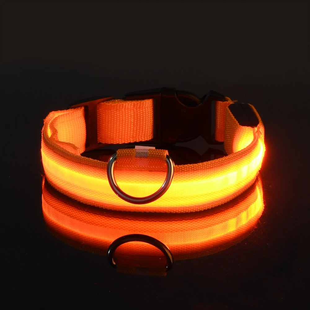 Correa LED Luminosa para Perro con Collar de Seguridad Nocturna