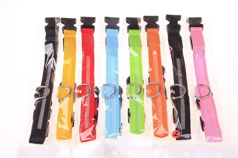 Correa LED Luminosa para Perro con Collar de Seguridad Nocturna