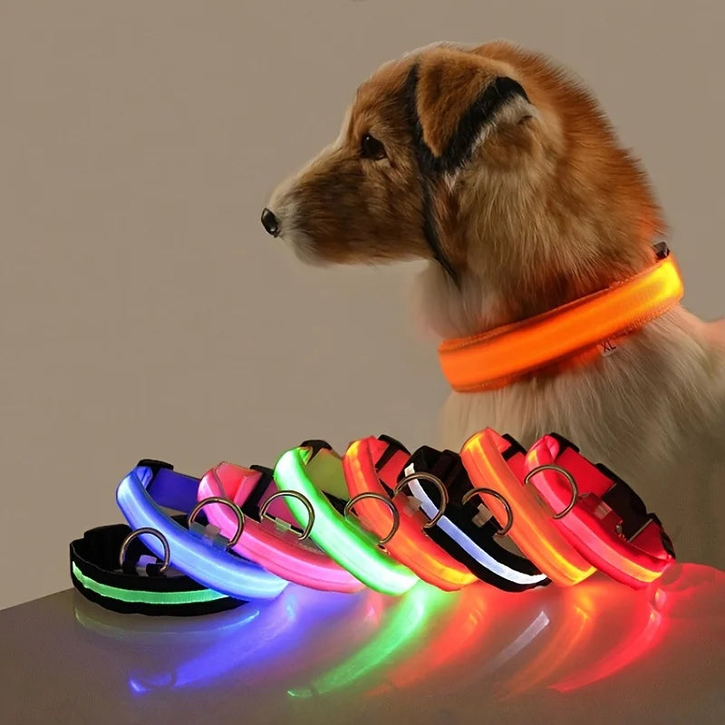 Correa LED Luminosa para Perro con Collar de Seguridad Nocturna
