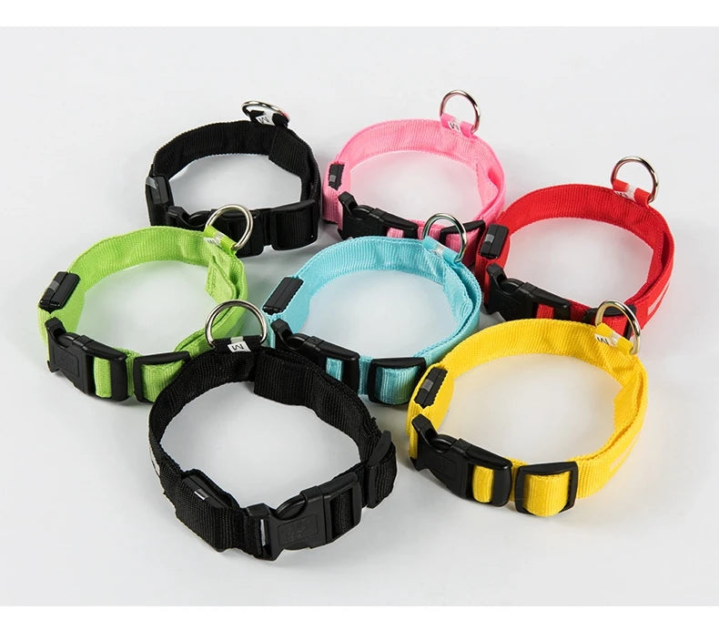 Correa LED Luminosa para Perro con Collar de Seguridad Nocturna