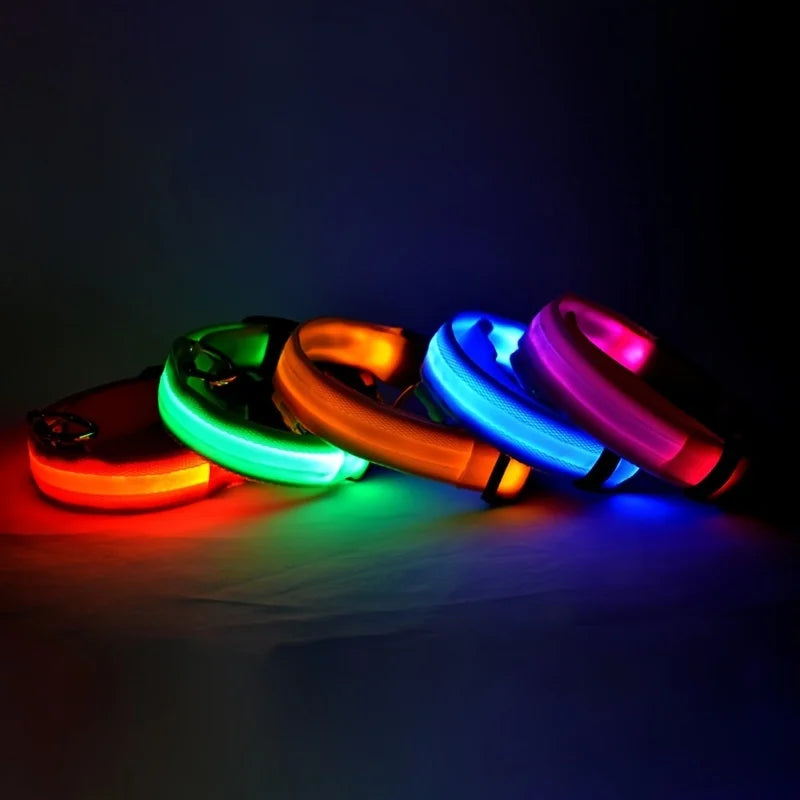 Correa LED Luminosa para Perro con Collar de Seguridad Nocturna