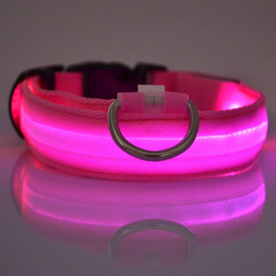 Correa LED Luminosa para Perro con Collar de Seguridad Nocturna