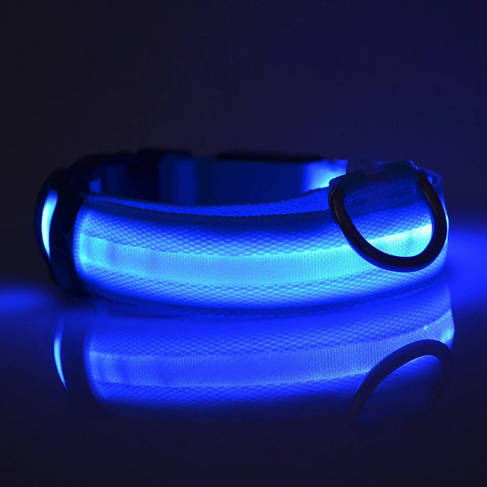 Correa LED Luminosa para Perro con Collar de Seguridad Nocturna
