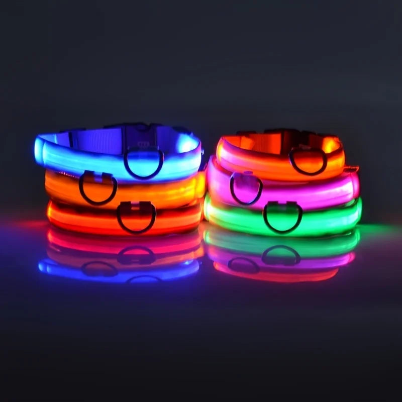 Correa LED Luminosa para Perro con Collar de Seguridad Nocturna