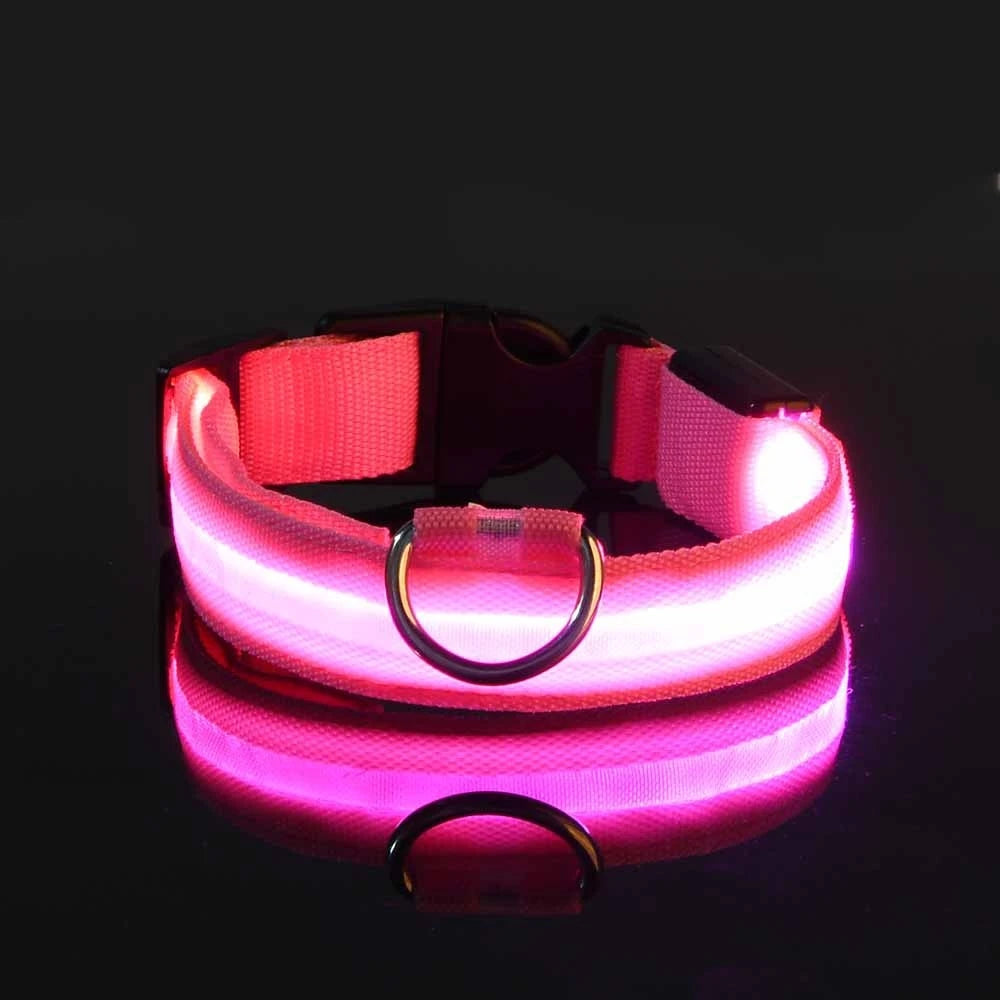 Correa LED Luminosa para Perro con Collar de Seguridad Nocturna