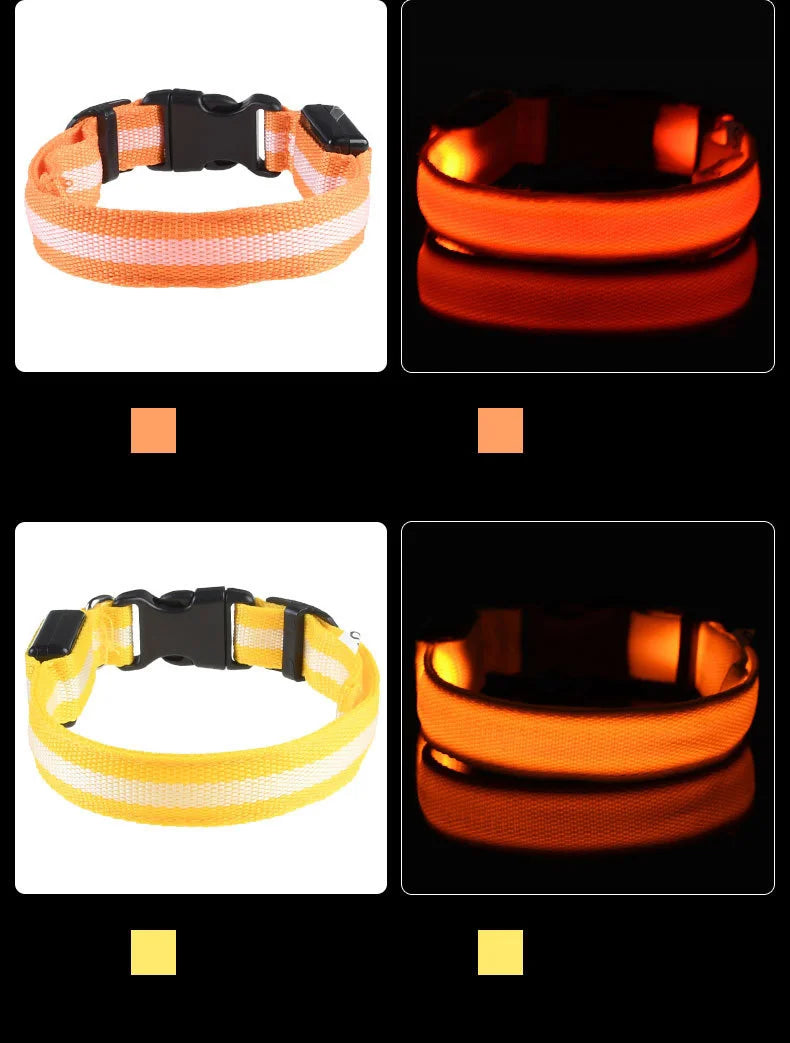 Correa LED Luminosa para Perro con Collar de Seguridad Nocturna