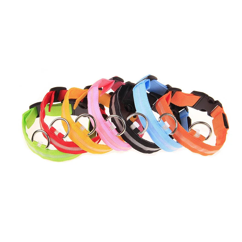 Correa LED Luminosa para Perro con Collar de Seguridad Nocturna