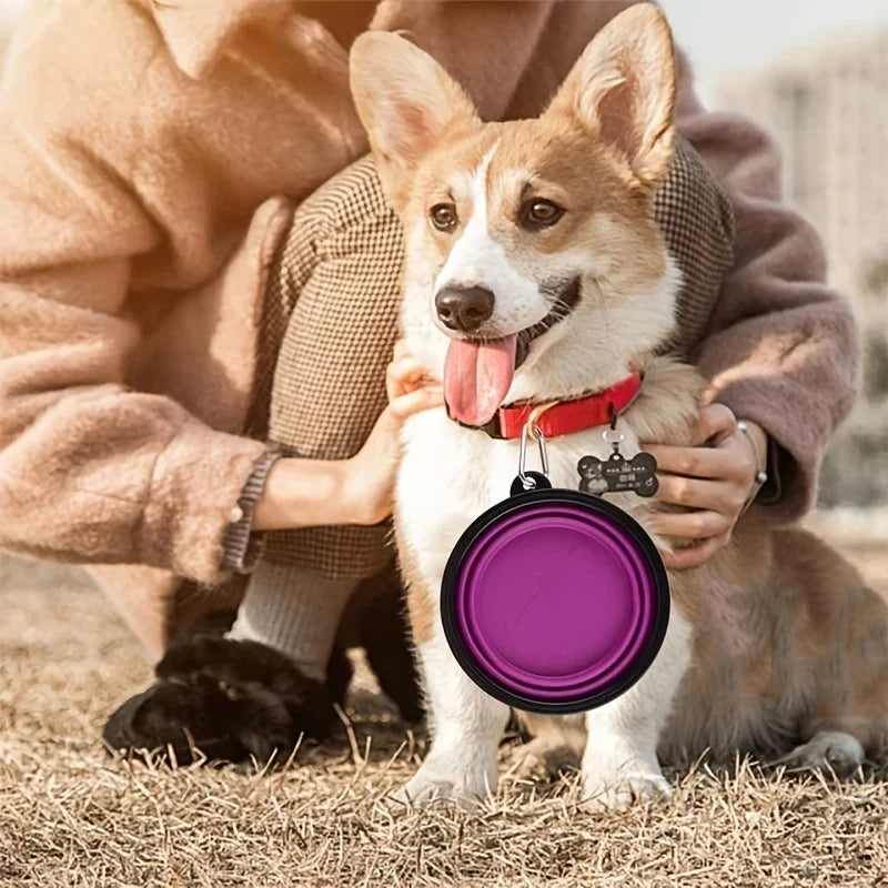 Comedero Plegable Silicona TPR para Perros y Gatos