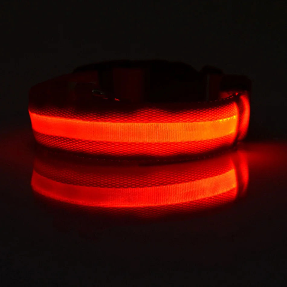 Correa LED Luminosa para Perro con Collar de Seguridad Nocturna