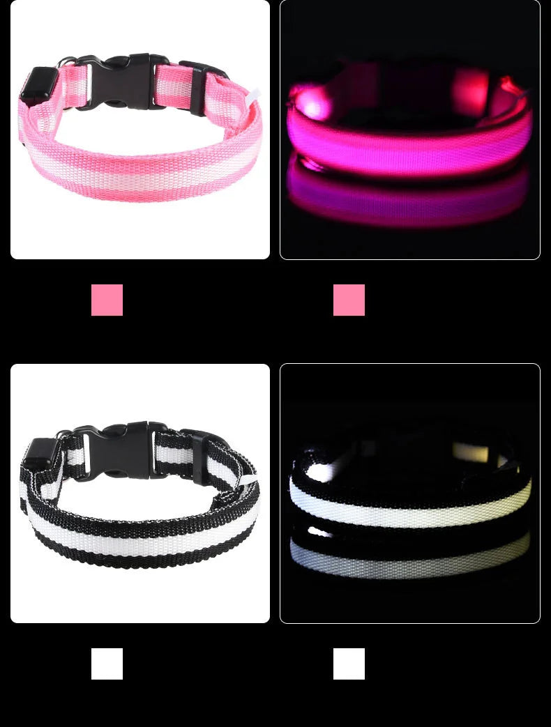 Correa LED Luminosa para Perro con Collar de Seguridad Nocturna