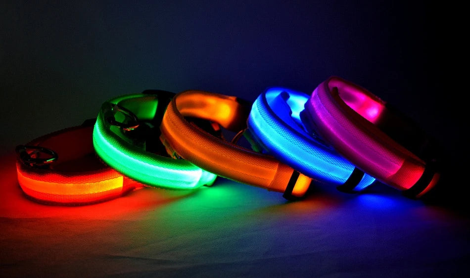 Correa LED Luminosa para Perro con Collar de Seguridad Nocturna
