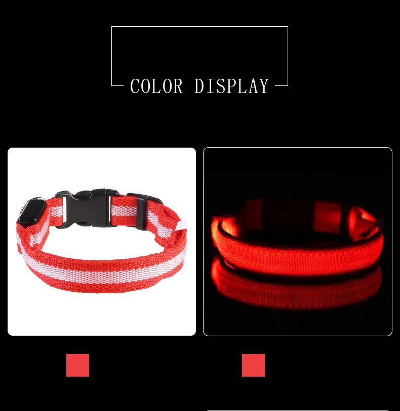 Correa LED Luminosa para Perro con Collar de Seguridad Nocturna